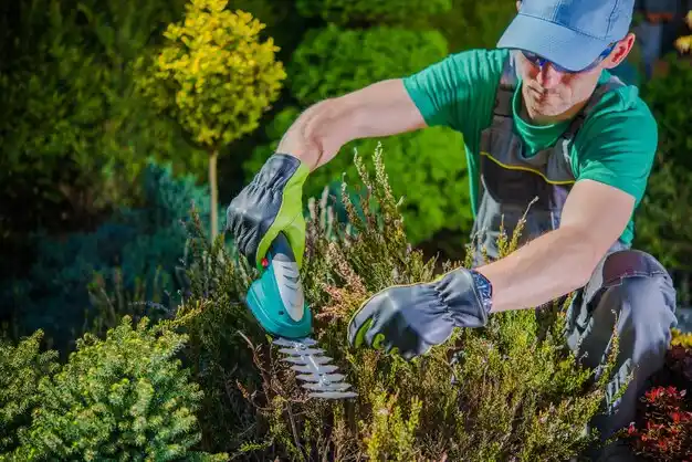 landscaping services Southgate